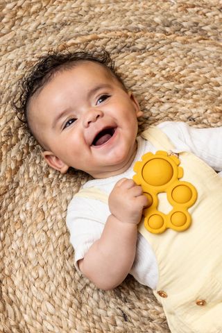 Baby lion silicone pop-it toy
