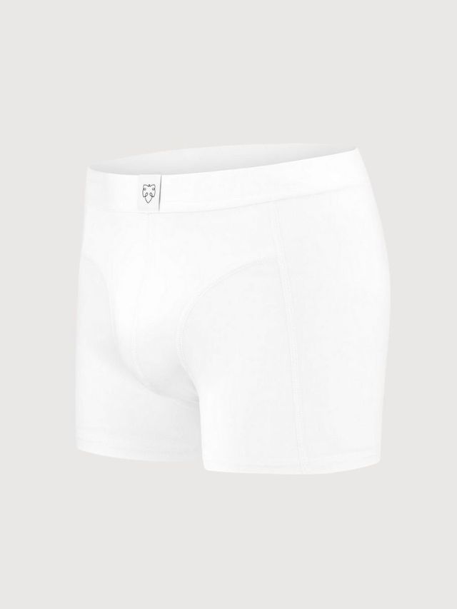 Men's cotton boxer briefs